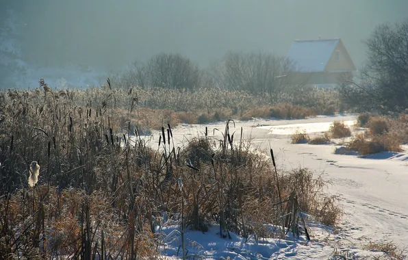 Winter, snow, house, river, the evening, reed