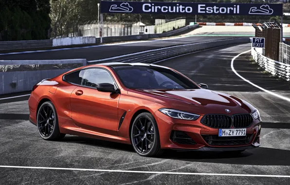 Picture coupe, BMW, Coupe, 2018, 8-Series, dark orange, M850i xDrive, Eight