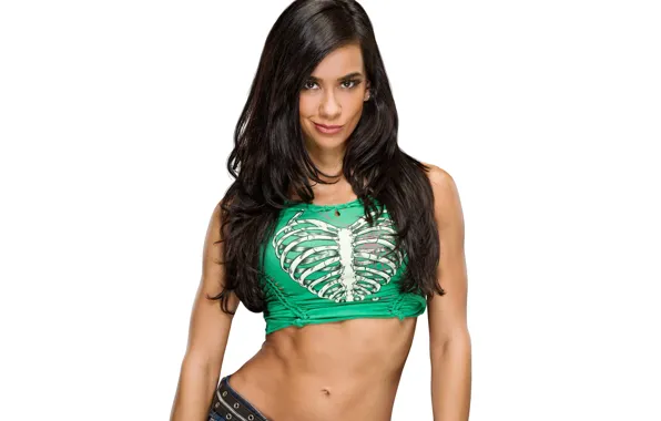 Look, wrestler, hair, Wrestling, WWE, AJ Lee, Hey Jay Lee, A. J.