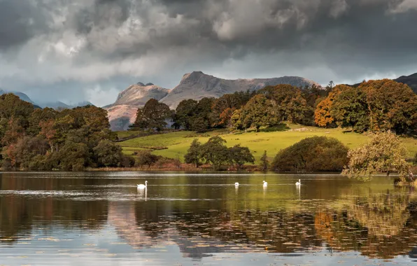 Autumn, forest, clouds, mountains, birds, clouds, lake, reflection