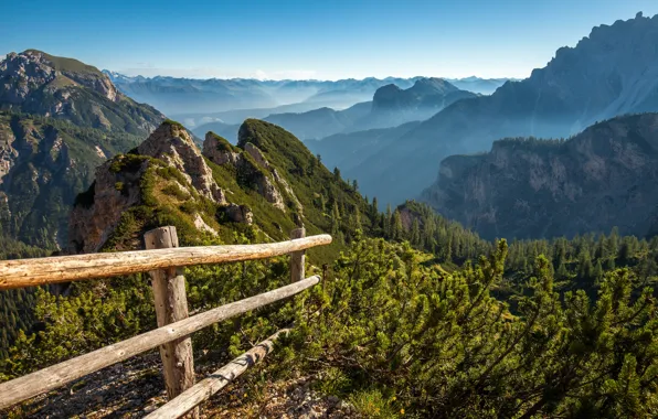 Picture greens, forest, summer, mountains, branches, fog, rocks, tops