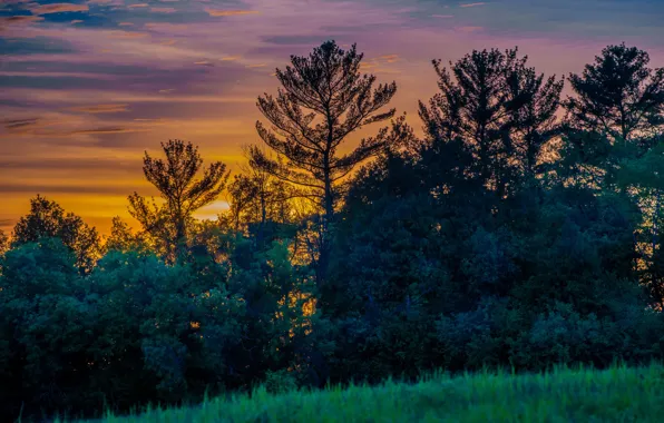 Picture the sky, grass, clouds, trees, sunset, glade, the evening, Canada