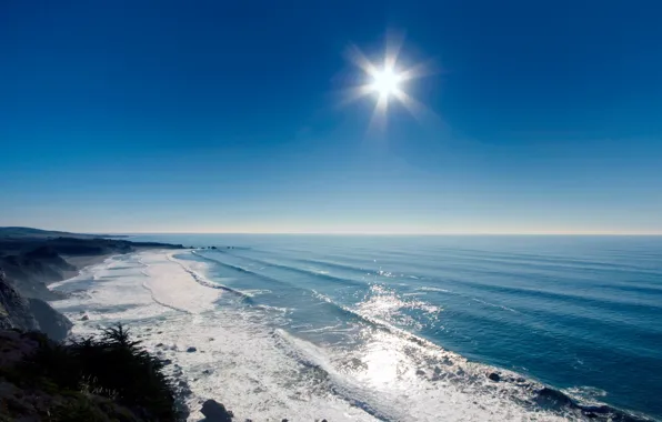 Picture sea, grass, water, the sun, rays, light, nature, the ocean