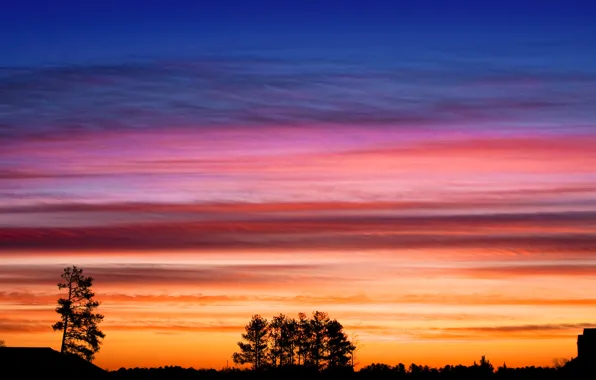 The sky, clouds, tree, silhouette, glow