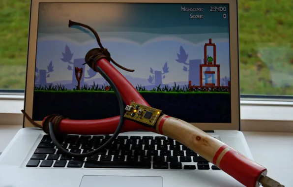 Sport, game, bird, notebook, skill, Angry Birds, Sling, sports activity