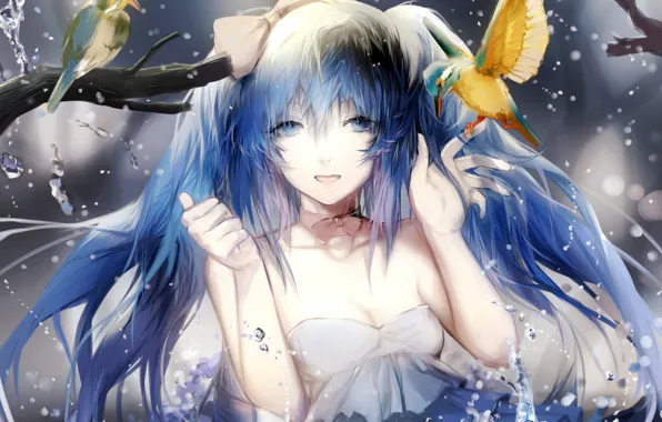 Picture water, girl, smile, branch, anime, art, birds, vocaloid