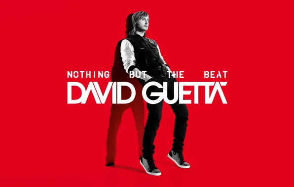 Music, Electro, David Guetta, David Guetta, Nothing But the Beat