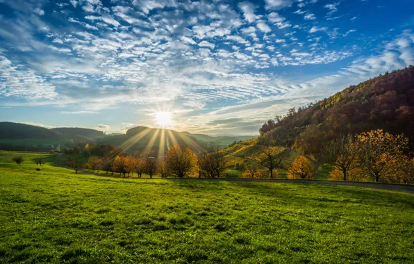 Road, greens, field, the sky, grass, the sun, clouds, rays