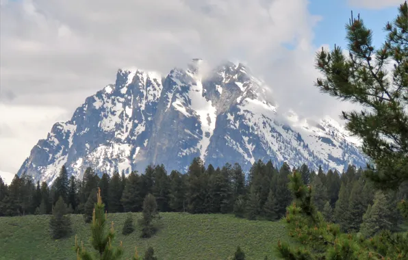 Picture mountains, rocks, usa, national park, grand-tetons