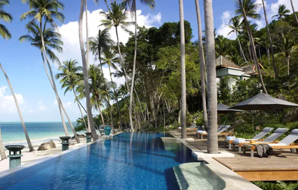 Tropics, palm trees, the ocean, Villa, pool, resort