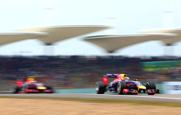 Racer, Formula 1, Red Bull, Vettel, Champion, Sebastian, RB10