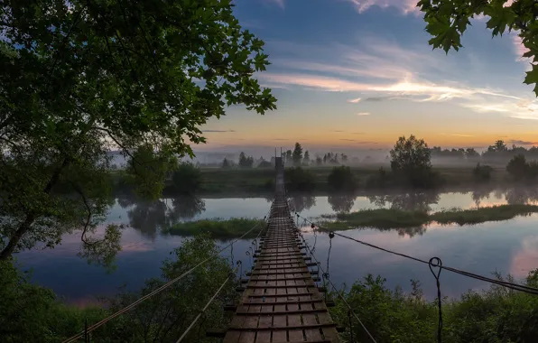 Trees, landscape, bridge, nature, fog, river, dawn, morning