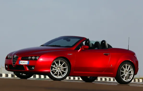 Spider, red, auto, Alfa romeo