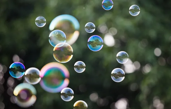 Picture reflection, bubbles, bokeh