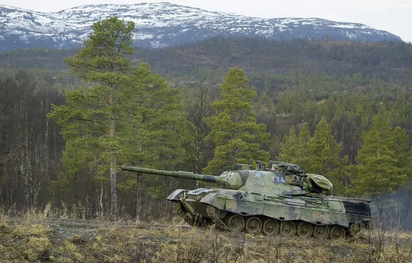 Nature, Norway, tank, armor, Leopard 1