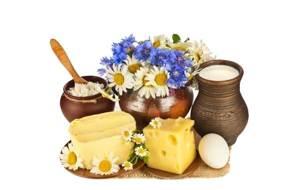 Picture flowers, egg, oil, chamomile, bouquet, cheese, milk, saucers