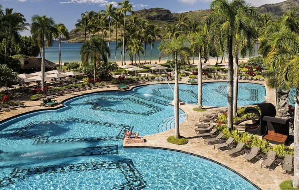 Beach, palm trees, shore, pool, Hawaii, resort, exotic, Hawaii