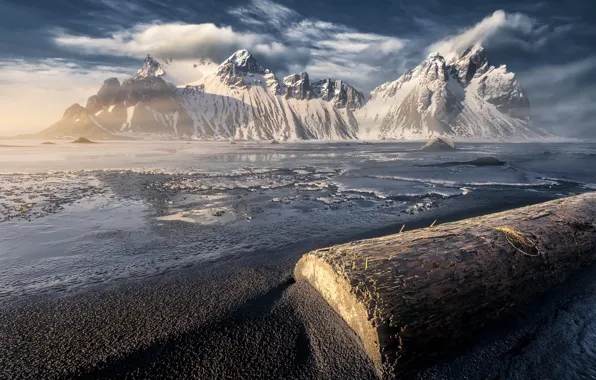 Picture sea, shore, log