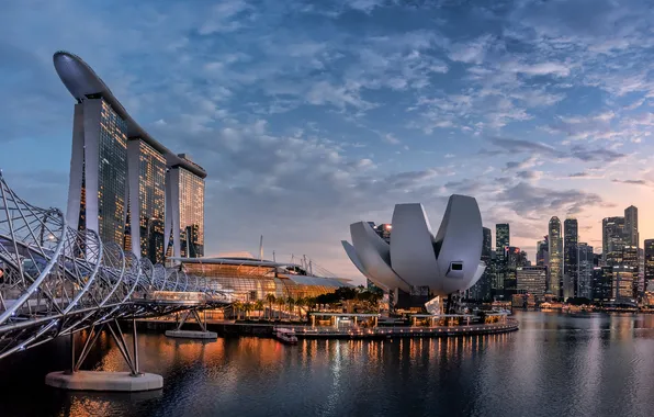 Picture Home, Singapore, Bridges, Helix Bridge