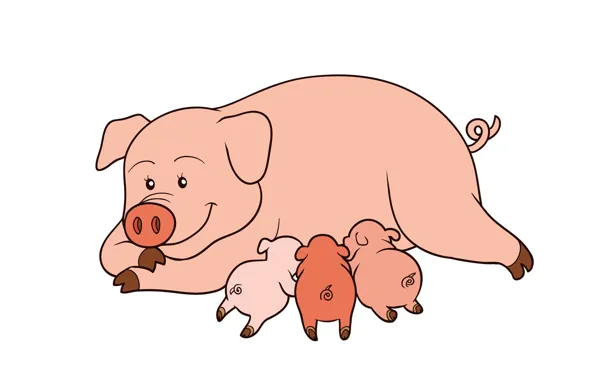 Pig, the three little pigs, pigs
