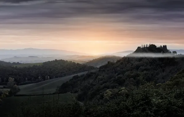 Picture nature, fog, morning, Italy, Toskana charm