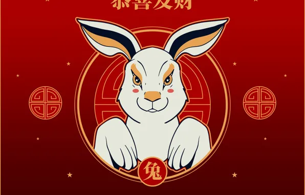 White, look, hare, round, paws, rabbit, characters, New year