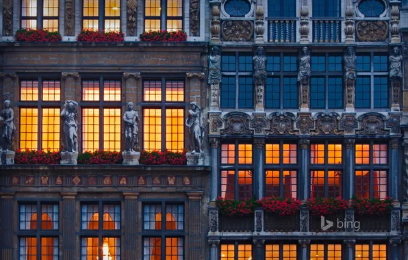Picture flowers, Windows, home, Belgium, Brussels, sculpture, market square, The Grand Place