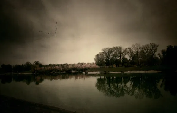 Autumn, the sky, trees, landscape, nature, river, bird