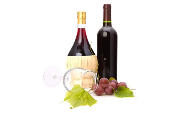 Picture leaves, wine, glass, bottle, grapes, white background