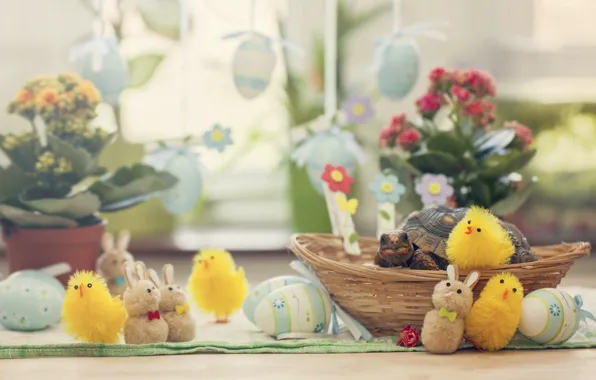 Light, flowers, holiday, toys, chickens, turtle, eggs, towel