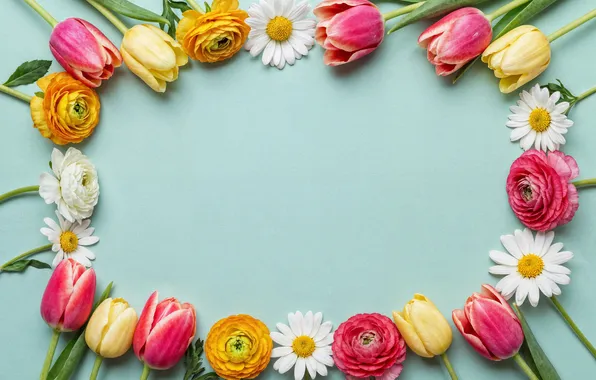 Flowers, frame, colorful, flowers, tulips, spring, frame, floral