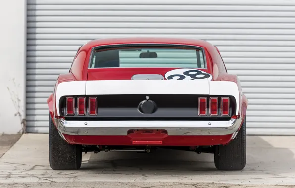 Picture Mustang, Ford, 1969, muscle car, rear view, Ford Mustang Boss 302
