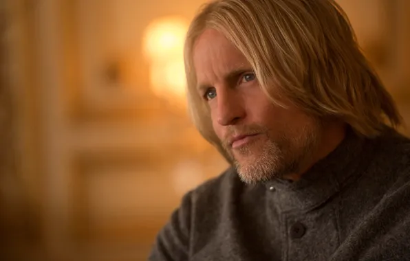 Picture Woody Harrelson, Woody Harrelson, The hunger games:mockingjay