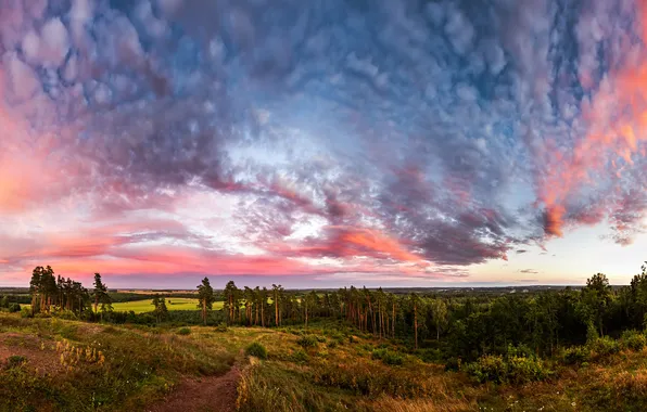Field, forest, summer, the sky, grass, clouds, hills, view