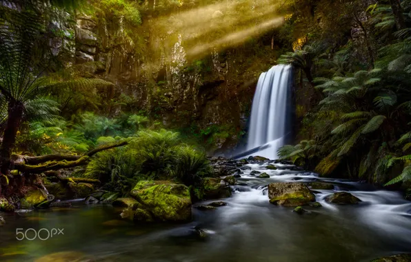 Forest, light, nature, river, waterfall