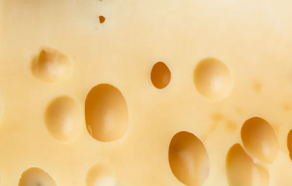 Macro, food, cheese, holes, cheese background
