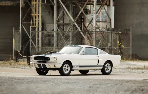Mustang, Ford, Shelby, Mustang, Ford, Shelby, 1966, GT350