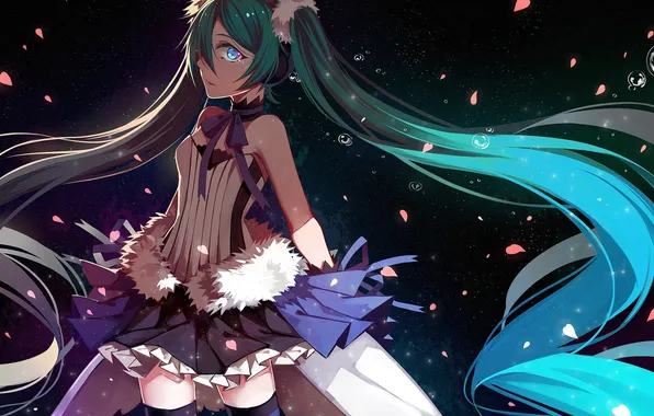 Picture the sky, girl, stars, anime, petals, tears, art, vocaloid