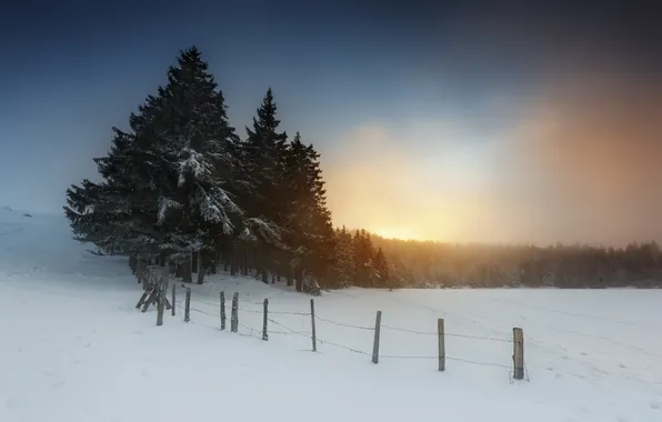 Snow, fog, morning