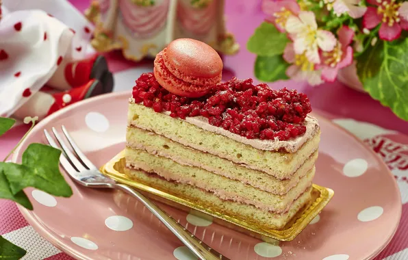 Cake, layers, dessert, macaron