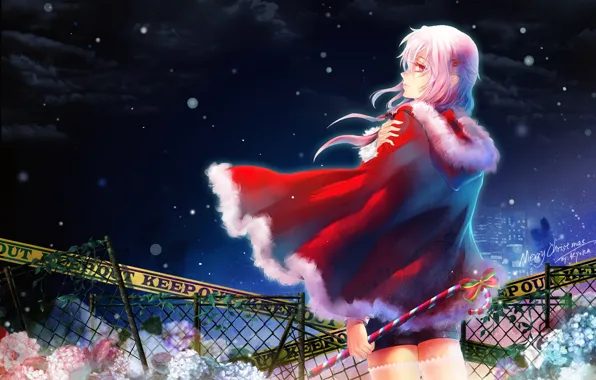 Picture girl, snow, flowers, night, the city, the fence, new year, grille