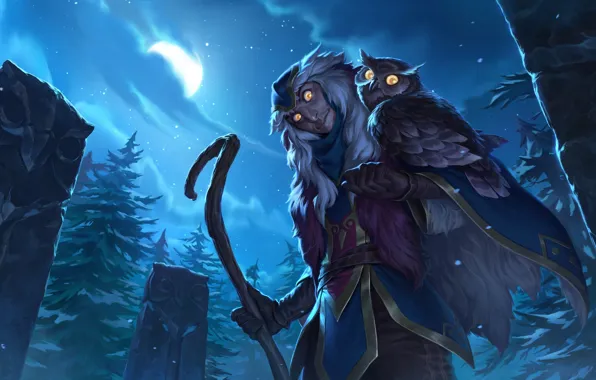 Night, the moon, Owl, Freljord, Shaman, Legends of Runeterra