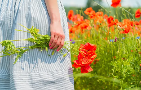 Summer, girl, flowers, Maki, hands, poppy field