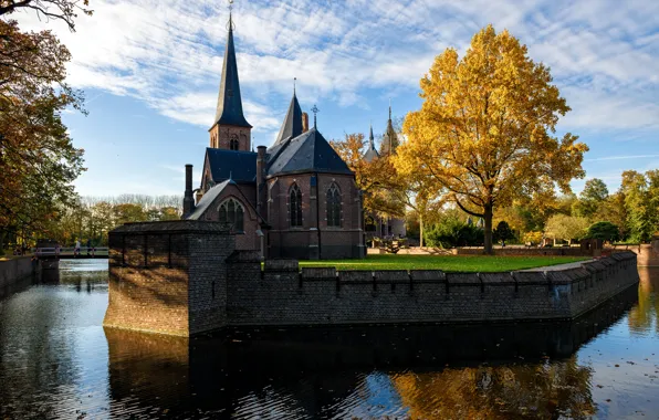 Picture trees, the city, river, photo, castle, Cathedral, temple, Netherlands