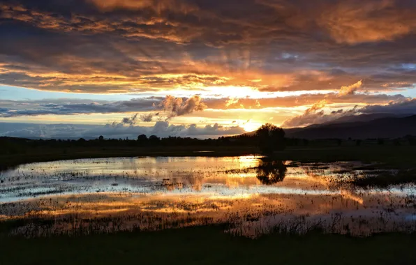 Picture the sun, clouds, rays, sunset, lake, swamp, the evening, after the rain