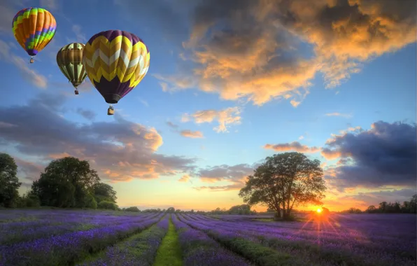The sky, clouds, landscape, sunset, nature, field, flowers, balloons