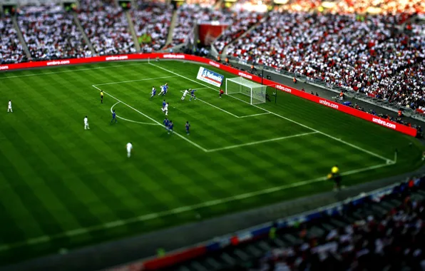 Picture white, grass, blue, game, people, situation, sport, the game