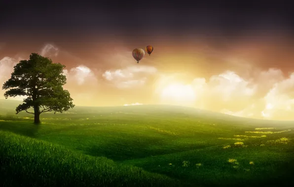 The sky, grass, fog, fiction, tree, balls