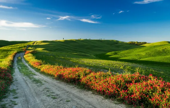 Road, field, landscape, Italy, Tuscany