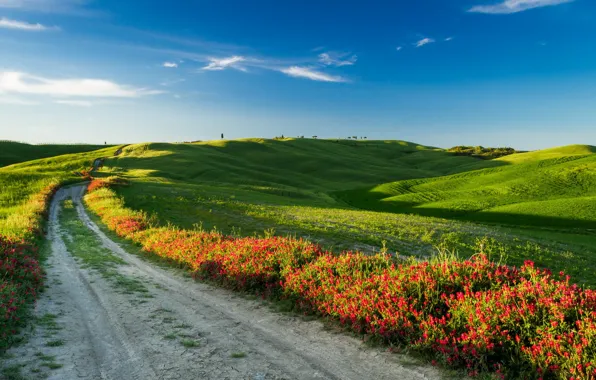 Picture road, field, landscape, Italy, Tuscany